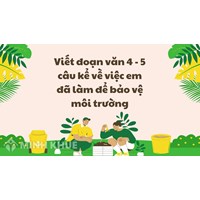 Viết 4 - 5 câu kể về việc em đã làm để bảo vệ môi trường hay nhất