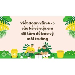 Viết 4 - 5 câu kể về việc em đã làm để bảo vệ môi trường hay nhất