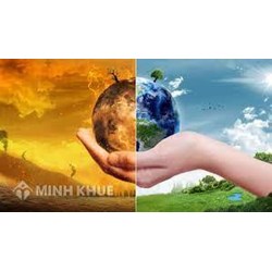 Soạn bài Tự đánh giá: Thế giới ra sao nếu không có cây xanh? Văn 6
