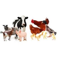 Công nghệ 7 Dự án 2: Kế hoạch nuôi dưỡng, chăm sóc vật nuôi trong gia đình