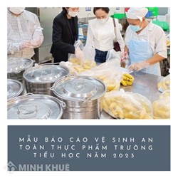 Mẫu báo cáo vệ sinh an toàn thực phẩm trường tiểu học