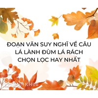 Đoạn văn suy nghĩ về câu Lá lành đùm lá rách chọn lọc hay nhất