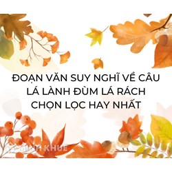 Đoạn văn suy nghĩ về câu Lá lành đùm lá rách chọn lọc hay nhất