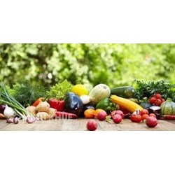 Mẫu đơn đề nghị cấp giấy chứng nhận cơ sở đủ điều kiện an toàn thực phẩm