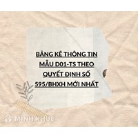 Bảng kê thông tin Mẫu D01-TS theo quyết định số 595/BHXH mới nhất