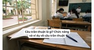 Câu trần thuật là gì? Chức năng và ví dụ về câu trần thuật Ngữ văn 8
