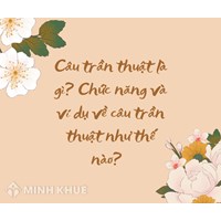 Câu trần thuật là gì? Chức năng và ví dụ về câu trần thuật Ngữ văn 8