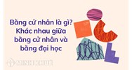 Bằng cử nhân là gì? Khác nhau giữa bằng cử nhân và bằng đại học
