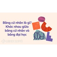 Bằng cử nhân là gì? Khác nhau giữa bằng cử nhân và bằng đại học