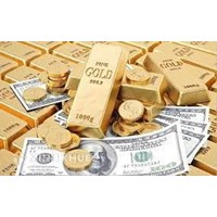 Các hình thái của tiền tệ là gì? Ví dụ hình thái tiền tệ Việt Nam