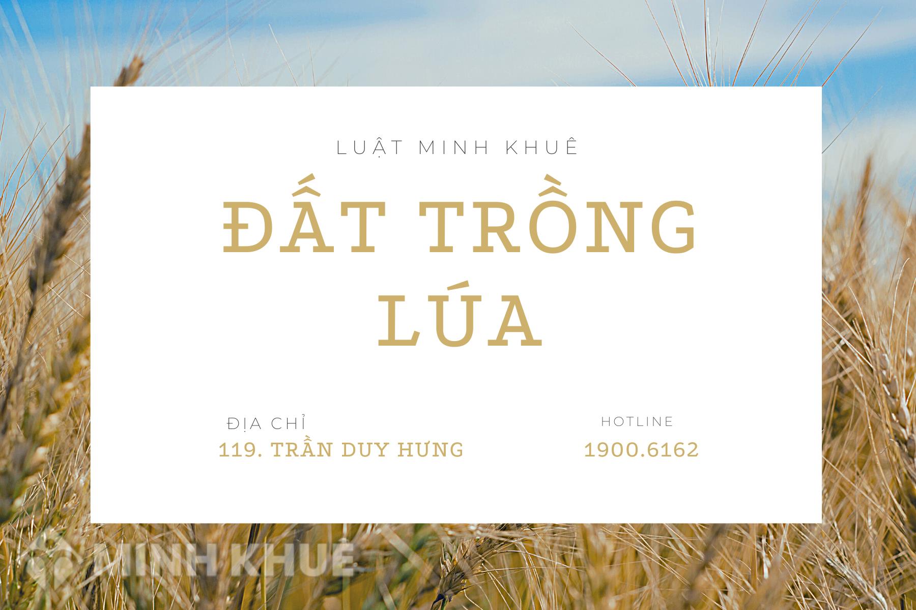 Đất chuyên trồng lúa nước có thể trồng được những loại cây nào khác ngoài lúa nước không?
