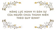 Năng lực hành vi dân sự của người chưa thành niên theo quy định?