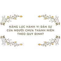 Năng lực hành vi dân sự của người chưa thành niên theo quy định?