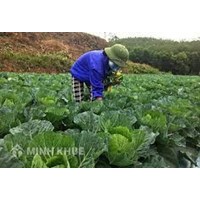 Đất trồng cây hàng năm khác là gì? Có chuyển đổi được không?