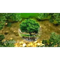Mục đích của việc bảo vệ môi trường? Các biện pháp bảo vệ môi trường