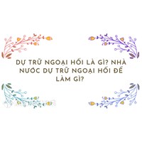 Dự trữ ngoại hối là gì? Nhà nước dự trữ ngoại hối để làm gì?