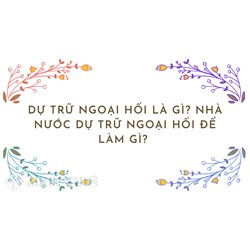 Dự trữ ngoại hối là gì? Nhà nước dự trữ ngoại hối để làm gì?
