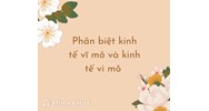 Phân biệt kinh tế vi mô và kinh tế vĩ mô chuẩn nhất