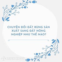Chuyển đổi đất rừng sản xuất sang đất nông nghiệp như thế nào?