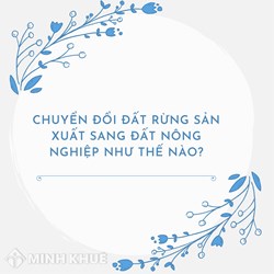 Chuyển đổi đất rừng sản xuất sang đất nông nghiệp như thế nào?