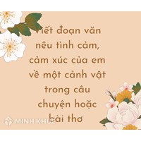 Đoạn văn nêu tình cảm, cảm xúc của em về một cảnh vật trong câu chuyện, bài văn, bài thơ đã đọc