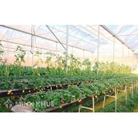 Đất nông nghiệp khác là gì? Ký hiệu và các loại đất nông nghiệp khác?