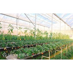Đất nông nghiệp khác là gì? Ký hiệu và các loại đất nông nghiệp khác?