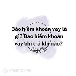 Bảo hiểm khoản vay là gì? Bảo hiểm khoản vay chi trả khi nào?