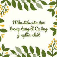 Mẫu điếu văn đọc trong tang lễ Cụ ông ý nghĩa nhất