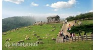 Đất trang trại là gì? Đất trang trại có chuyển đổi được không?