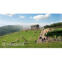 Đất trang trại là gì? Đất trang trại có chuyển đổi được không?