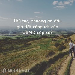 Thủ tục, phương án đấu giá đất công ích của UBND cấp xã?