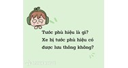 Tước phù hiệu là gì? Xe bị tước phù hiệu có được lưu thông không?