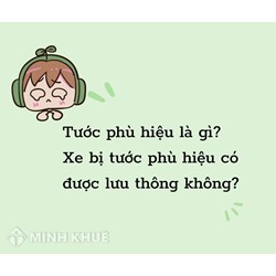 Tước phù hiệu là gì? Xe bị tước phù hiệu có được lưu thông không?