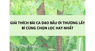 Giải thích bài ca dao Bầu ơi thương lấy bí cùng chọn lọc hay nhất
