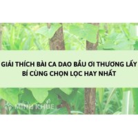 Giải thích bài ca dao Bầu ơi thương lấy bí cùng chọn lọc hay nhất