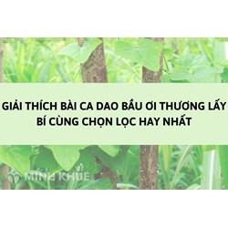 Giải thích bài ca dao Bầu ơi thương lấy bí cùng chọn lọc hay nhất