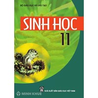 Phân biệt sinh trưởng sơ cấp và sinh trưởng thứ cấp chi tiết nhất