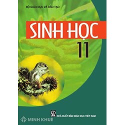 Phân biệt sinh trưởng sơ cấp và sinh trưởng thứ cấp chi tiết nhất