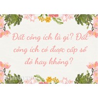 Đất công ích là gì? Đất công ích có được cấp sổ đỏ hay không?