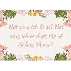 Đất công ích là gì? Đất công ích có được cấp sổ đỏ hay không?