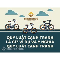 Quy luật cạnh tranh là gì? Ví dụ và ý nghĩa quy luật cạnh tranh