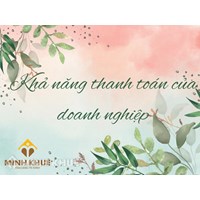 Khả năng thanh toán của doanh nghiệp là gì? Ví dụ và cách tính