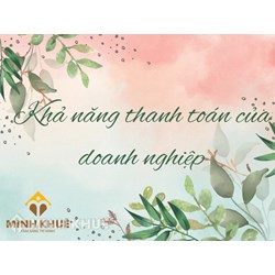 Khả năng thanh toán của doanh nghiệp là gì? Ví dụ và cách tính