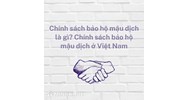 Chính sách bảo hộ mậu dịch là gì? Chính sách bảo hộ mậu dịch ở Việt Nam