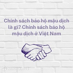 Chính sách bảo hộ mậu dịch là gì? Chính sách bảo hộ mậu dịch ở Việt Nam
