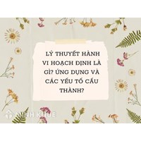 Lý thuyết hành vi hoạch định là gì? Ứng dụng và các yếu tố cấu thành?