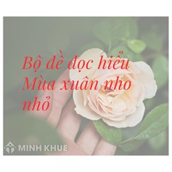 Bộ đề đọc hiểu Mùa xuân nho nhỏ có đáp án chi tiết nhất