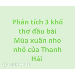 Phân tích 3 khổ đầu bài Mùa xuân nho nhỏ của Thanh Hải hay nhất