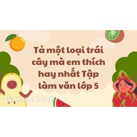 Tả một loại trái cây mà em thích hay nhất Tập làm văn lớp 5